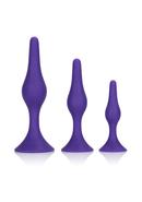 Booty Call Booty Trainer Starter Kit Silicone Anal Plugs 3...