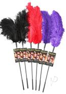 Sportsheets Ostrich Feather Tickler (6 Pack) - Assorted...